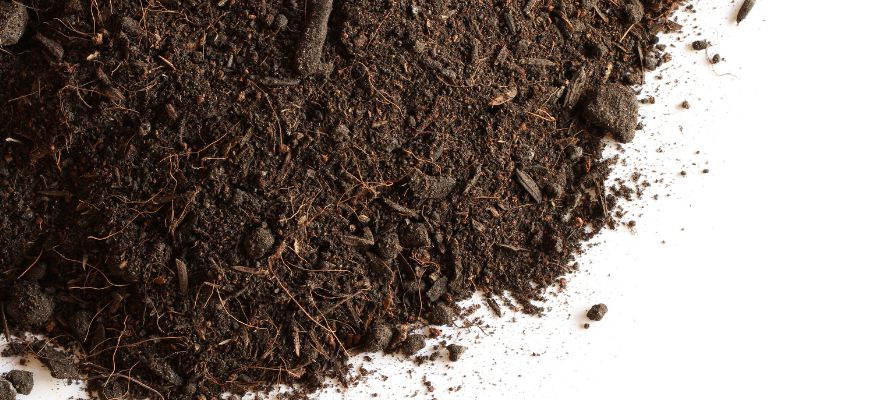 Can You Build on Peat Soil? What Foundations Are the Best Choice.