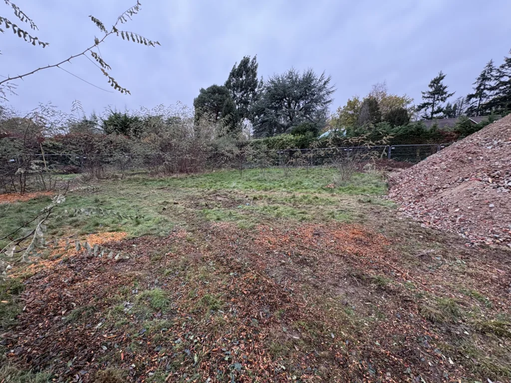 Site start at Fairmile Lane Cobham